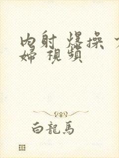 内射 爆操 少妇 视频