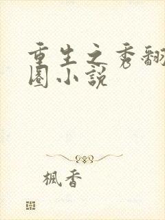 重生之秀翻娱乐圈小说封面