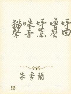 猫咪呼噜呼噜的声音怎么回事