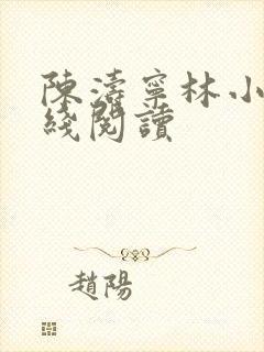 陈涛宁林小说在线阅读