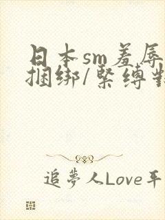 日本sm羞辱/捆绑/紧缚对折