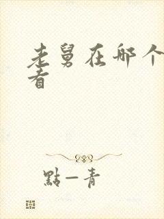 老舅在哪个平台看