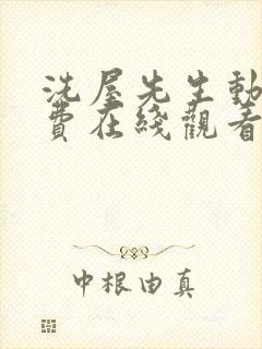 洗屋先生动漫免费在线观看封面