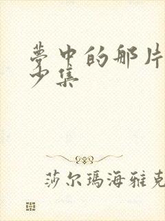 梦中的那片海多少集