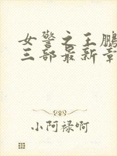 女警之王鹏篇第三部最新章节