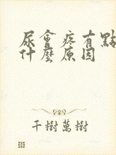 尿会疼有点带血什么原因