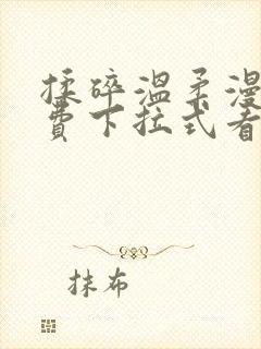 揉碎温柔漫画免费下拉式看漫画最新章节