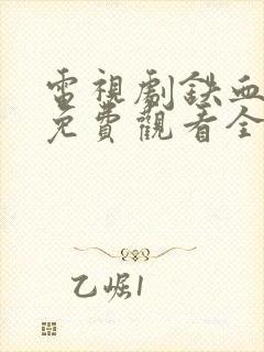 电视剧铁血将军免费观看全集封面