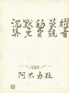 沉默的荣耀40集免费观看全集封面