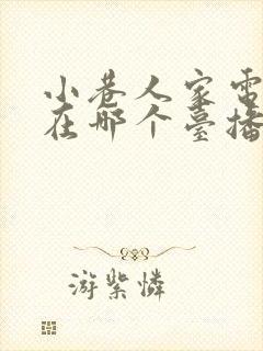 小巷人家电视剧在哪个台播放