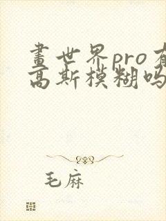 画世界pro有高斯模糊吗