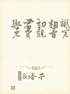 与君初相识全集免费观看完整版