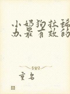 小奶狗拉稀怎么办最有效的方法