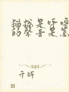 猫总是呼噜呼噜的声音是怎么回事