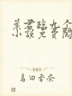 叶君临九个师父小说免费阅读全文