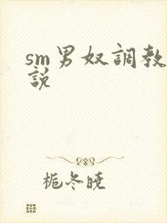 sm男奴调教小说