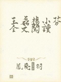 王磊杨小芬免费全文阅读