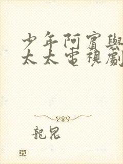 少年阿宾与房东太太电视剧播放