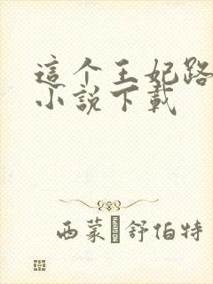 这个王妃路子野小说下载