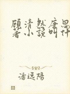 顾清然唐思年原著小说叫什么名字封面