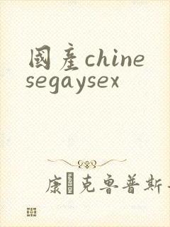 国产chinesegaysex