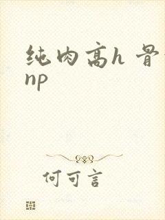 纯肉高h 骨科np