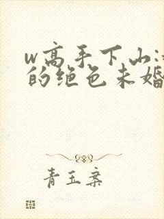 w高手下山:我的绝色未婚妻》