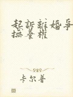 起诉离婚争孩子抚养权