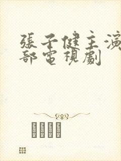 张子健主演的全部电视剧