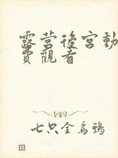 露营后宫动漫免费观看