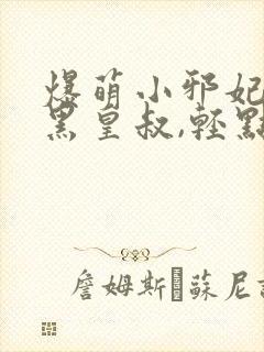 爆萌小邪妃:腹黑皇叔,轻点宠 梁妃儿