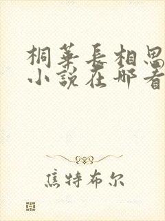 桐华长相思原著小说在哪看