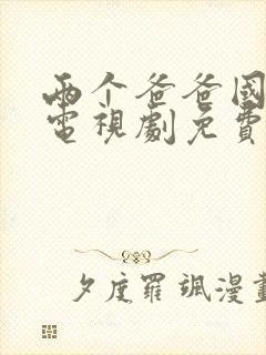 两个爸爸国语版电视剧免费观看封面