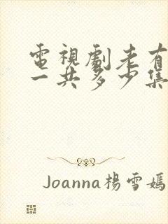 电视剧老有所依一共多少集封面