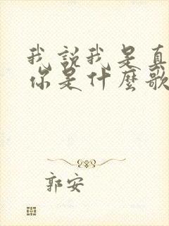 我说我是真的爱你是什么歌的歌词