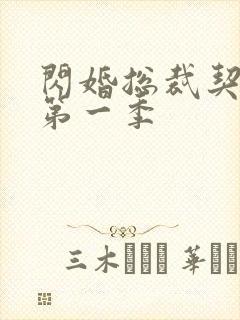 闪婚总裁契约妻第一季