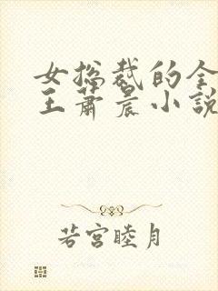 女总裁的全能兵王萧晨小说免费