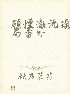 顾怀澈沈瑶大结局番外