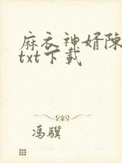 麻衣神婿陈黄皮txt下载封面