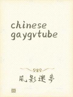 chinesegaygvtube