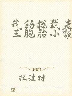 我的总裁老婆是三胞胎小说封面