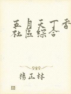五月天丁香婷婷社区综合