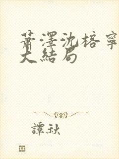 萧泽沈榕宁结局大结局