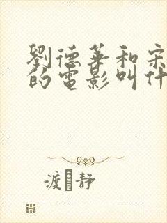 刘德华和宋佳演的电影叫什么