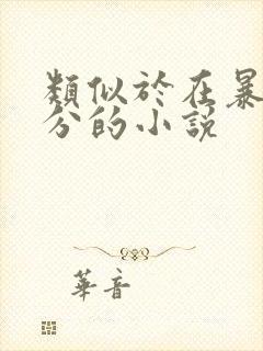 类似于在暴雪时分的小说封面