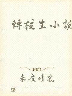 转校生小说封面