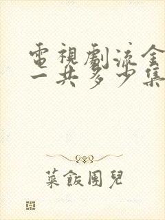 电视剧流金岁月一共多少集