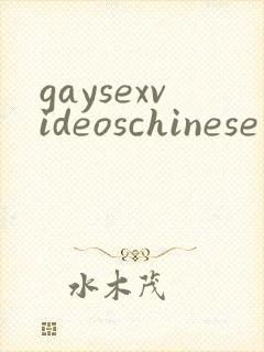 gaysexvideoschinese