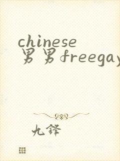 chinese男男freegay网站封面
