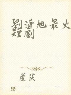 刘潇旭最火十部短剧